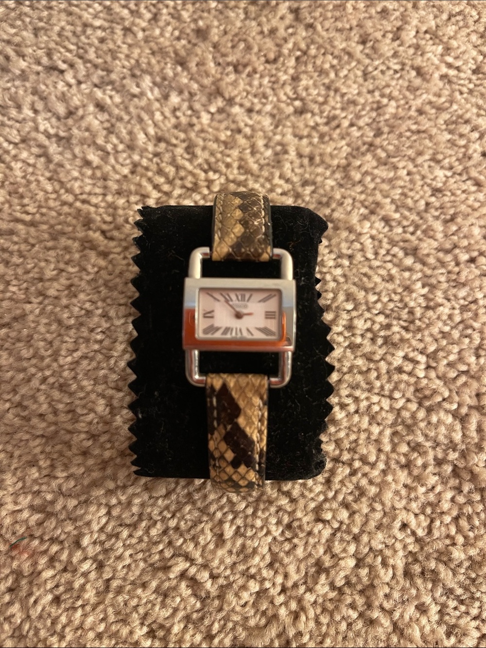 Coach Women’s python Leather Strap Watch - Brown/Tan